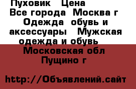 Пуховик › Цена ­ 2 000 - Все города, Москва г. Одежда, обувь и аксессуары » Мужская одежда и обувь   . Московская обл.,Пущино г.